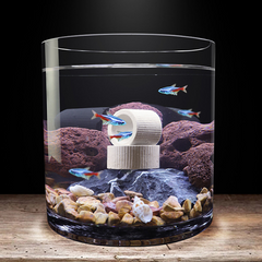 Aquatic Plant Holder Ring Set