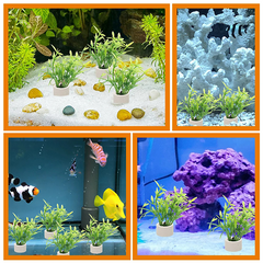 Aquatic Plant Holder Ring Set