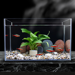 Aquatic Plant Holder Ring Set