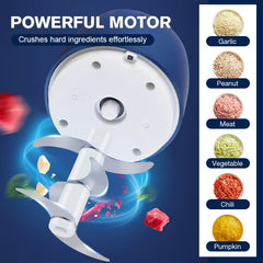 💎Amazing Deal 💎 Powerful Large-Capacity Electric Food Chopper – Robust Motor, Smart Design & Stainless Steel Blades