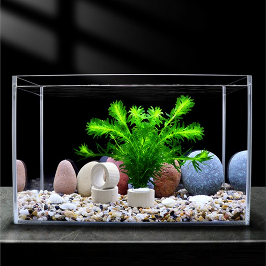 Aquatic Plant Holder Ring Set